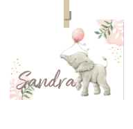 Geboortekaartje naam Sandra m2