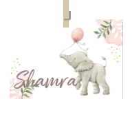 Geboortekaartje naam Shamra m2