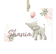 Geboortekaartje naam Shania m2
