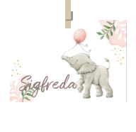 Geboortekaartje naam Sigfreda m2