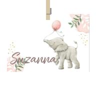 Geboortekaartje naam Suzanna m2