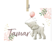 Geboortekaartje naam Tamar m2