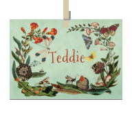 Geboortekaartje naam Teddie u2