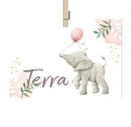 Geboortekaartje naam Terra m2