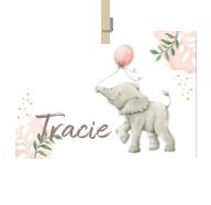 Geboortekaartje naam Tracie m2