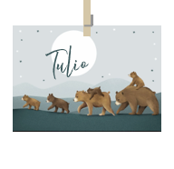 Kaart van Naam Tulio