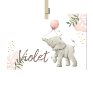 Geboortekaartje naam Violet m2