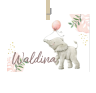 Geboortekaartje naam Waldina m2