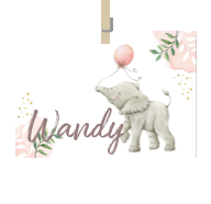 Geboortekaartje naam Wandy m2
