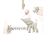 Geboortekaartje naam Xavieria m2