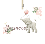 Geboortekaartje naam Yasmeen m2