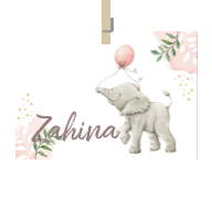 Geboortekaartje naam Zahina m2