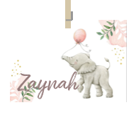 Geboortekaartje naam Zaynah m2