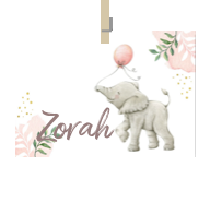 Geboortekaartje naam Zorah m2