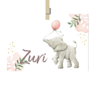 Geboortekaartje naam Zuri m2