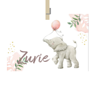 Geboortekaartje naam Zurie m2